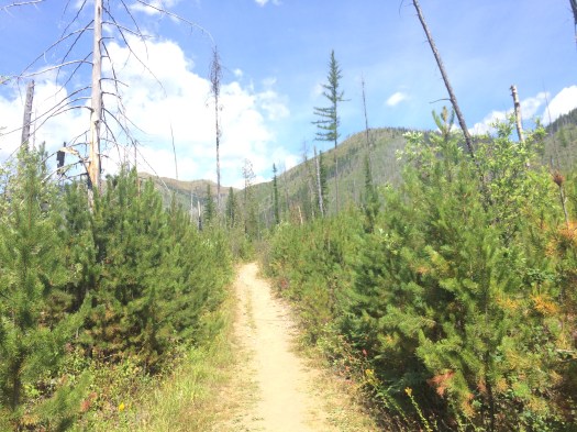 Glacier Park 2015 Family Boat Ride 034