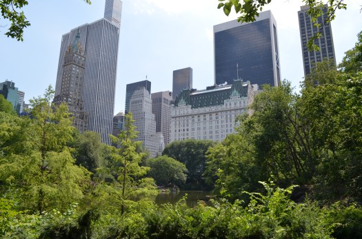 Central Park (4)