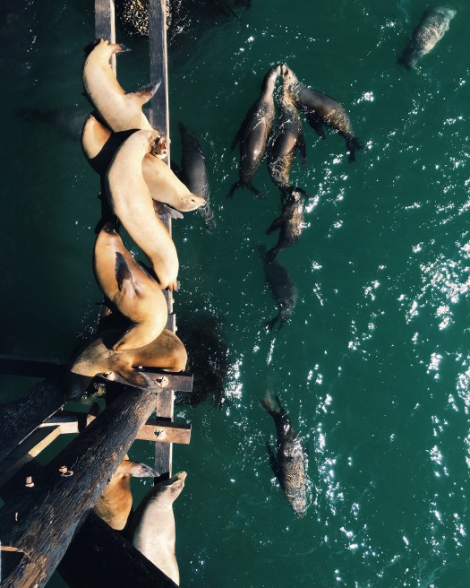 Processed with VSCO with g3 preset