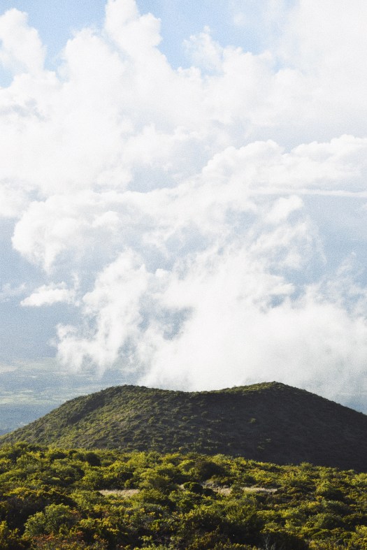 Processed with VSCO with a8 preset