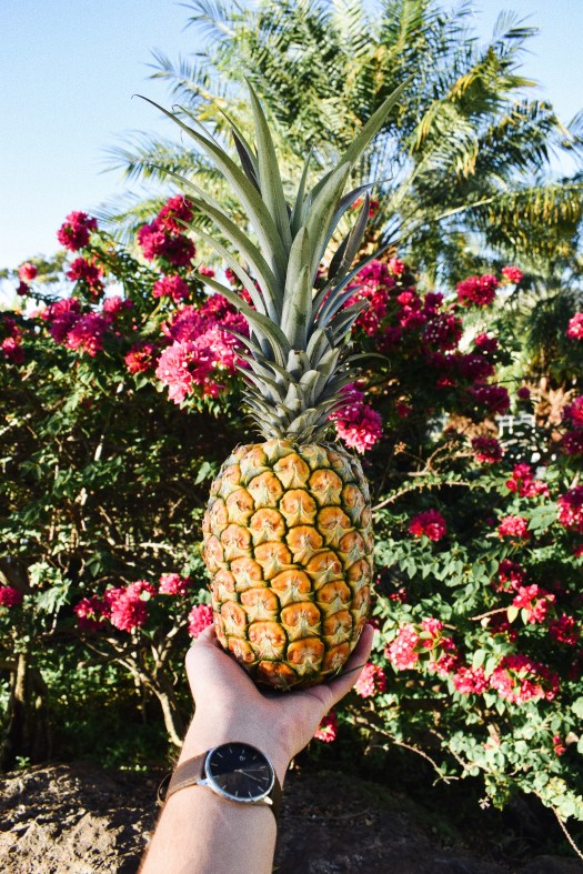 Processed with VSCO with a6 preset