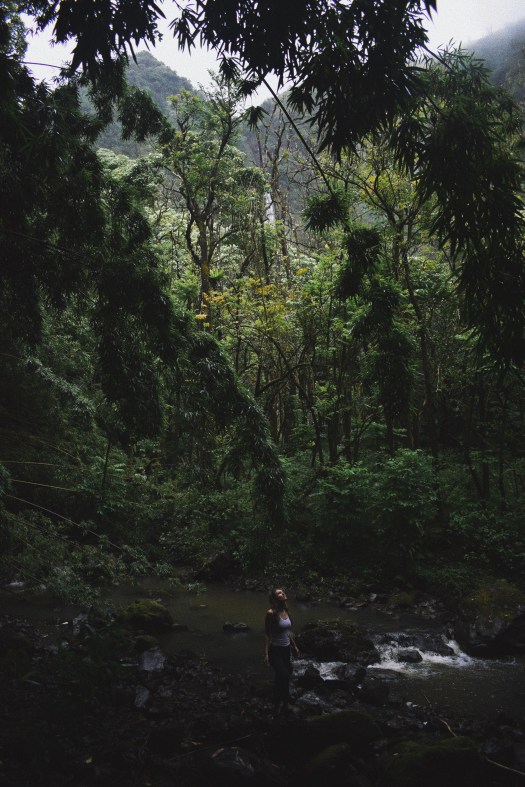 Processed with VSCO with a8 preset