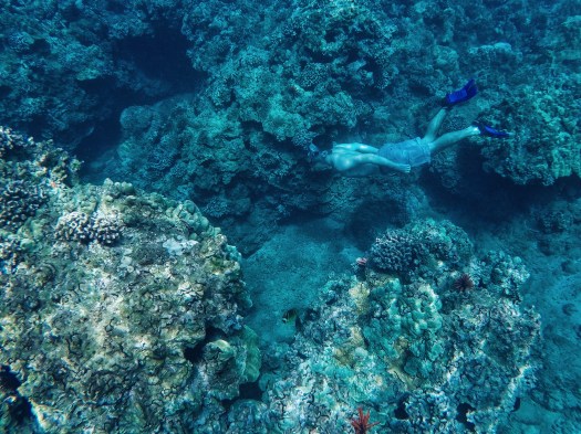 DCIM100GOPROG0200358.JPG Processed with VSCO with j3 preset