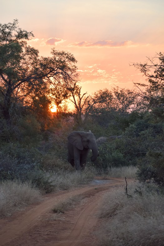 43EBEF10-C97C-40C8-84BD-B933527E974F