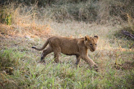 8968A486-2BDF-4F15-9537-789108E1EE8C