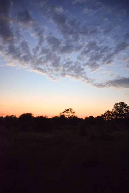 969E79AF-ADB6-44DA-BBCD-F4A8D6E490AF