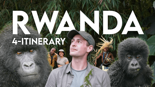 4 Day Itinerary: RWANDA&nbsp;Safari