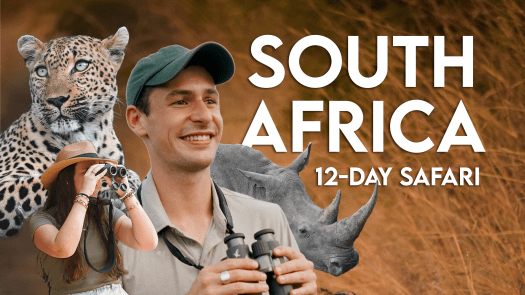 12-Day Itinerary: SOUTH AFRICA&nbsp;Safari
