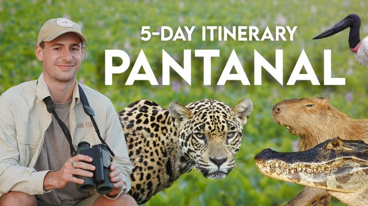 5-Day Itinerary: Pantanal&nbsp;Safari